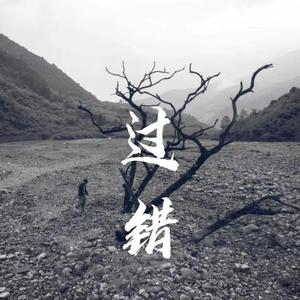 过错（翻自 Ju$tin）