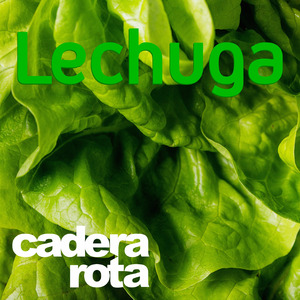 Lechuga