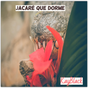 Jacaré Que Dorme