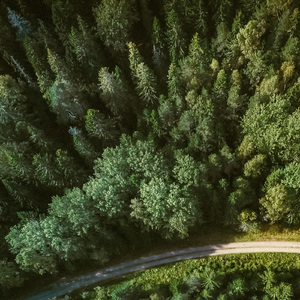Meditation Field Of Essence