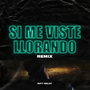 Si Me Viste Llorando (Remix)