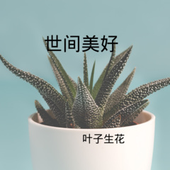 时间是个骗子