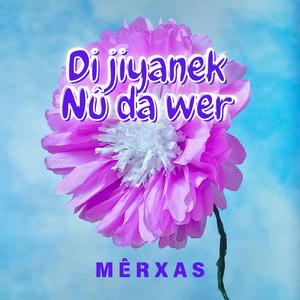 Di JİYANEK NÛ DA WER