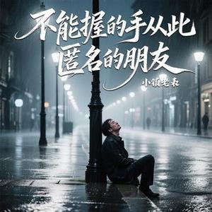 不能握的手从此匿名的朋友