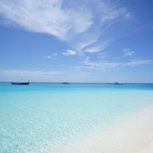 如梦令（学习阅读背景轻音乐）