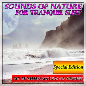 Sounds of Nature for Sleep: Tropical Rainforest with White Sandy Beach