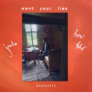 Want Your Lies (Acoustic Version)