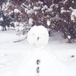 一个下雪的下午