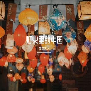 灯火里的中国_星儿
