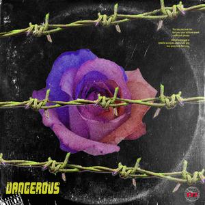 Dangerous (feat. Wavy Wave)