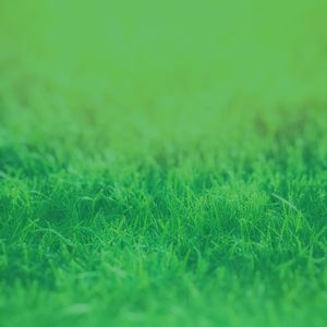 有趣周日的早午餐情怀