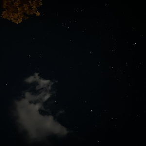 夜のリグレット.wav