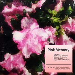 [Free]Chill/Sweet Guitar Type Beat "Pink Memory"