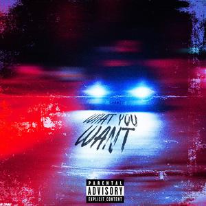 WHAT YOU WANT