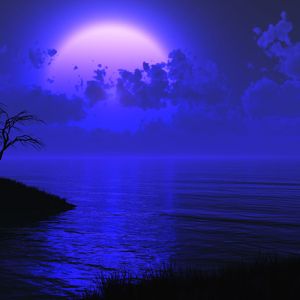 Moonlit Night Time - Track.01