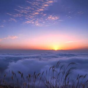 相遇 (prod.by 97Virus）