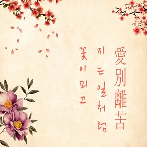 꽃이 피고 지는 일처럼