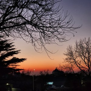 Dawn（自己的人生自己错）