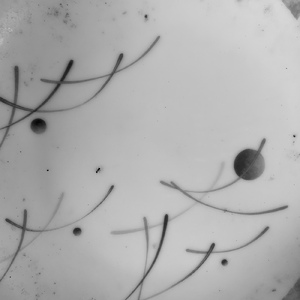 Servants in the Legacy