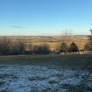 我终于失去了你