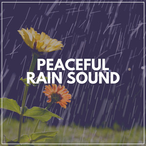 Rewardable Rain
