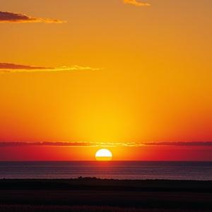 爱你没错 (现场)