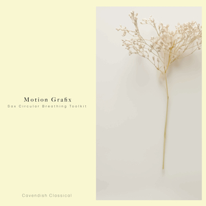 Sax Circular Breathing Toolkit