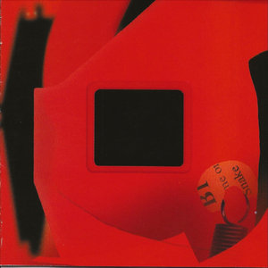 What You Say What You Do