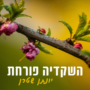 השקדיה פורחת