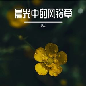 晨光中的风铃草高音质