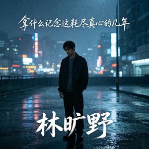 拿什么记念这耗尽真心的几年