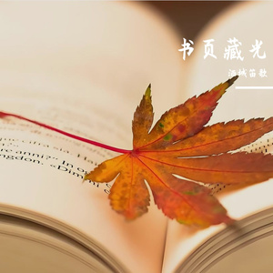 书页藏光