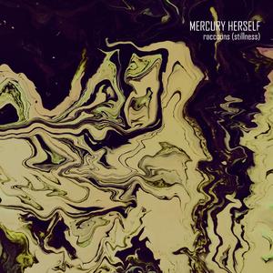 Raccoons (Stillness)