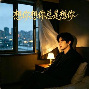 想你想你总是想你