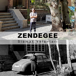 Zendegee