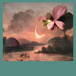 Lost Among the Stars