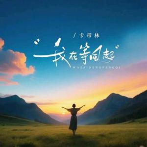 我在等风起 (0.9倍速版)