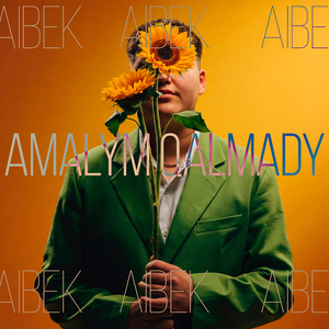 Amalym qalmady