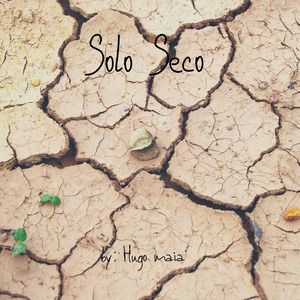 Solo Seco