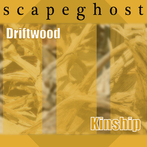 Driftwood