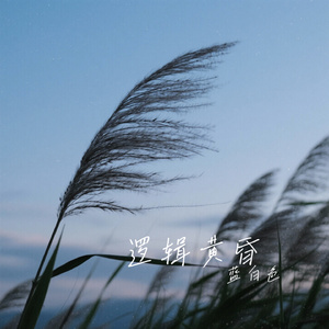 逻辑黄昏