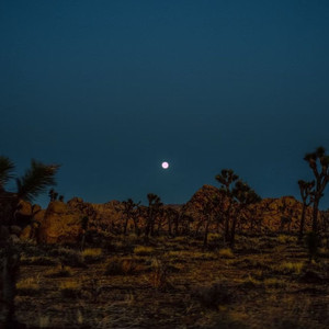 差点余生都是你