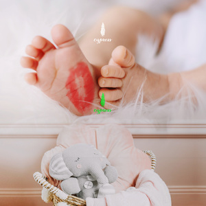 바흐 : 아리오소