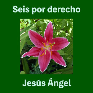 Seis por Derecho