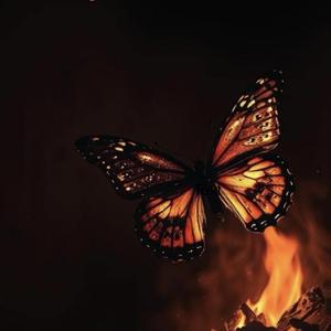 Burnt to the ground