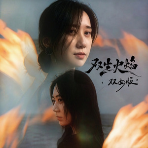 双生火焰（双女版）
