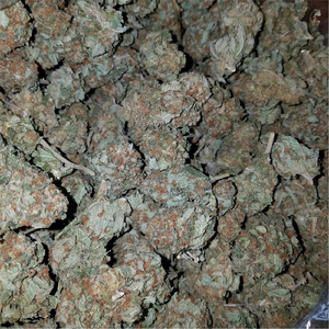 Blast or Duck (feat. Brother Lynch Hung, Spice 1 & Killarney Tay)