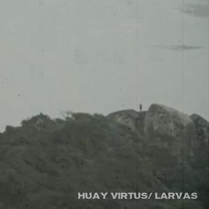 LARVAS