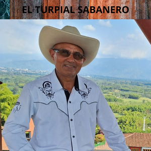 Recordando Mi Caballo