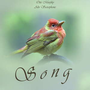 Mvt. 1. Song: Fire in the Earth, Maslanka Concerto for Alto Saxophone and Wind Ensemble